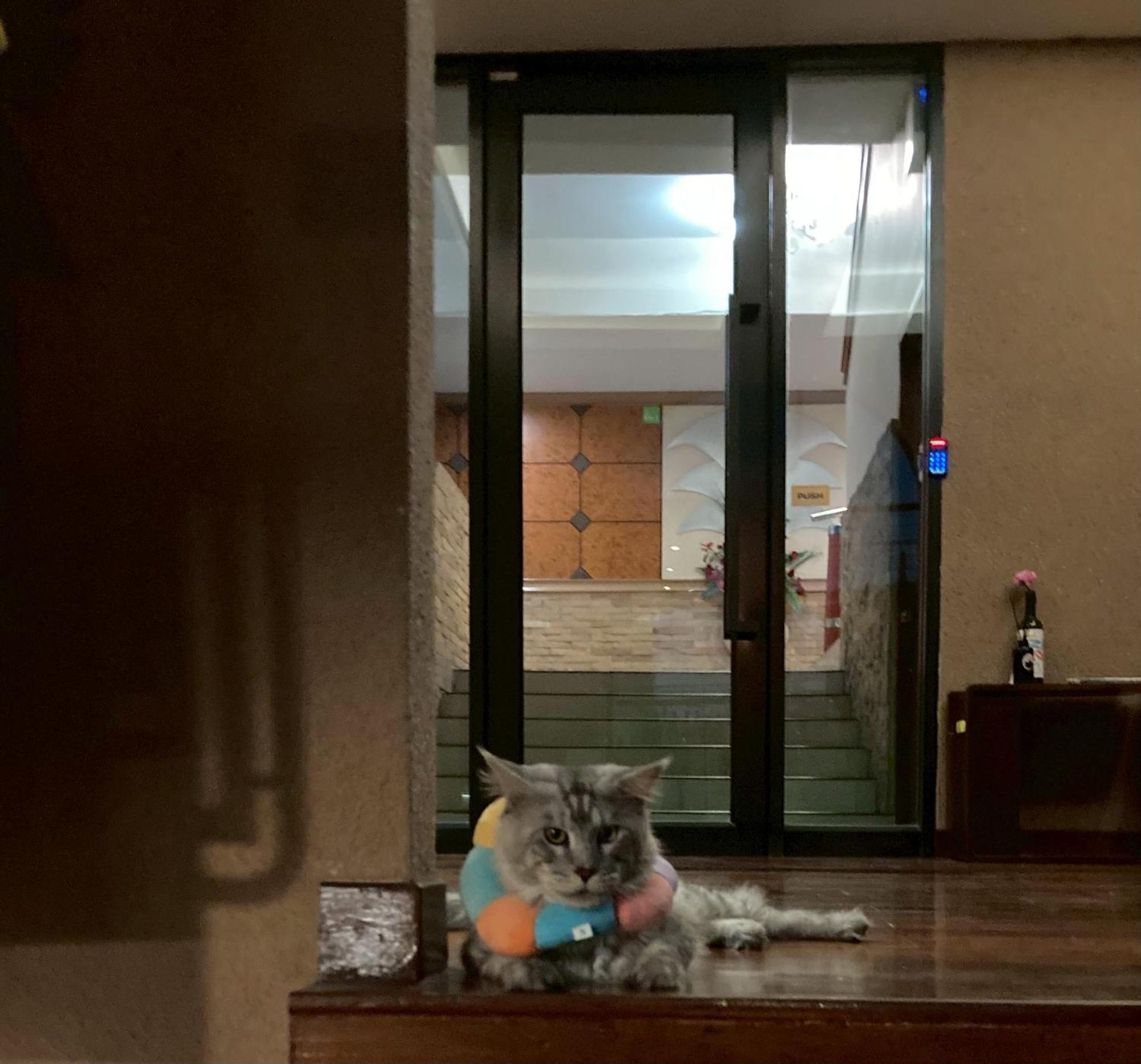 Polkadot Hostel Phitsanulok Zewnętrze zdjęcie